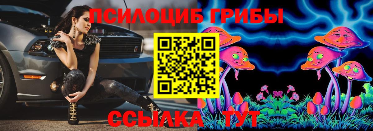 закладка  Псилоцибиновые грибы MAGIC MUSHROOMS  Красноярск  Вход с VPN  Галлюциногенные грибы GOLDEN TEACHER 